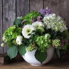 Maybe you would like to learn more about one of these? Send Iris Worcester Ma Flower Delivery Bloomnation