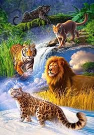 Puzzle Puzzles Grosskatzen Lowe Tiger Leopard Puma Panther Cats Cuddly 1000 Tierbilder
