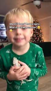 This is our 2nd Animal Communication session with @bloomanimalcommunication  🥰 Johanna Bloom is amazing! She helped us have a deeper understanding,  communication & connection with our baby bearded dragon! 🦎 (pictures of