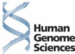 Human Genome Sciences Stock Price Forecast News Nasdaq Hgsi