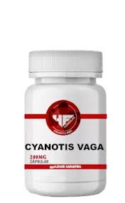 Image result for Cyanotis vaga