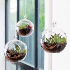 Sukkulenten Hangend Ausstellen Ideen Fur Gestaltung Mit Hangenden Pflanzen Fur Innen Und Aussen Pflanzen Fur Innen Sukkulenten Und Indoor Garten