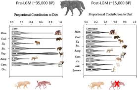 Bishah adviento, state rd 1320, goldsboro, wayne, north carolina other variations: Isotopic Tracking Of Large Carnivore Palaeoecology In The Mammoth Steppe Sciencedirect