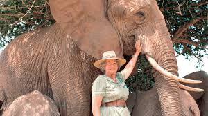 Conheça a queniana que dedicou sua vida a salvar bebês de elefante órfãos -  Entretenimento - BOL