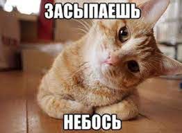 Прикольные картинки спокойного сна
