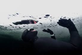 Freediver johanna nordblad first took to cold water as a cure for pain after a severe injury. Pin On Fun Pics