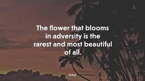All beings are flowers blossoming in a blossoming universe. 644071 The Flower That Blooms In Adversity Is The Rarest And Most Beautiful Of All Walt Disney Quote 4k Wallpaper Mocah Hd Wallpapers