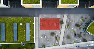 Le coperture a verde pensile | Fondazione per l'Architettura / Torino