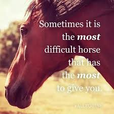 Quotes About Difficult Horses 30 Quotes