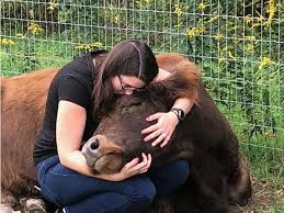 images?q=tbn:ANd9GcQ0Hb8y4zpKiE051Jl9GvyyKt2HGAj424iPAA&usqp=CAU