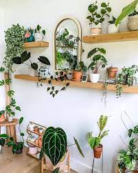 Home Decor With Alaskan Theme Plant Decor Indoor Indoor Plant Shelves Plant Shelves