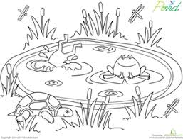 Pond Life Worksheet Education Com Pond Crafts Pond Animals Coloring Pages