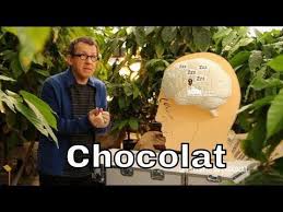 Comment Le Chocolat Agit Il Sur Notre Cerveau C Est Pas Sorcier Jenseigne Fr Sorciere Cerveau Neurosciences