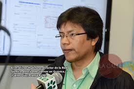 Portada — Página 425