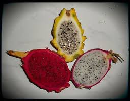 A pitaya or pitahaya is the fruit of several different cactus species indigenous to the americas. Pitahaya Drachenfrucht Mix Rot Weiss Gelb 50 Samen Im Mix Ebay
