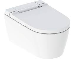 Dusch Wc Komplettanlage Geberit Aquaclean Sela Weiss 146220111 Bei Hornbach Kaufen