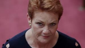 Aussie PM Malcolm Turnbull slaps down Pauline Hanson over remarks