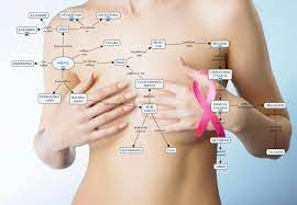 Ολη η υλη των νεων ελληνικων γ' λυκειου. Biologia A Lykeioy As Milhsoyme Bio Logika