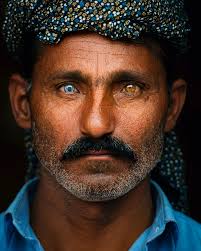 Through the lens of my camera, I've captured the breathtaking beauty of  individuals and a few shots of heterochromia persona. Each portrait tells a  story of uniqueness, highlighting the diverse tapestry of