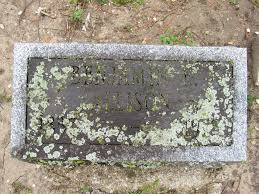 A Walk Through The Tombstones: Laurimore Cemetery