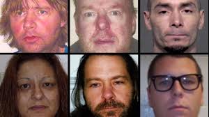 Scary' number of B.C. patients reported missing from Colony Farm says  advocate