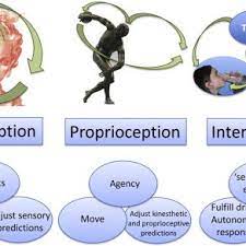 Predictive Coding This Schematic Introduces Predictive Coding In Terms Download Scientific Diagram