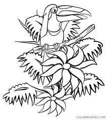 38+ toucan bird coloring pages for printing and coloring. Parrot Crocodile Amazon Jungle For Children Snake Toucan Coloring Art Collectibles Prints Vadel Com