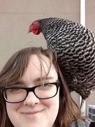 Lisa Nelson Obituary December 5, 2021