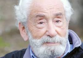 El árbol de la muralla al mnba