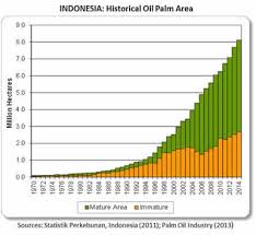 Both species are perennial tropical trees in the family arecaceae which are grown for their oil which is used in cooking and in industry. Index Htm