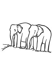 / bilder zum ausmalen bilder, cliparts, grafiken kostenlos zum herunterladen. 68 Ausmalbilder Elefanten Ideen Ausmalen Elefant Elefanten