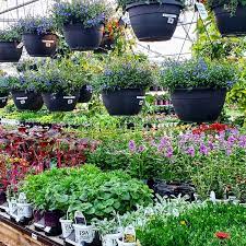 See tripadvisor's 197,029 traveler reviews and photos of louisville tourist attractions. Urban Garden Center Home Facebook