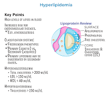 Image result for Hypertriglyceridemia