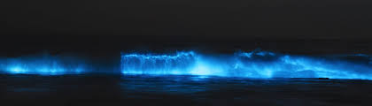 You see this in virginia beach at night, as well. Bioluminescent Plankton See The Beaches Glow Blue In The Maldives