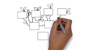 How To Draw A Family Tree Easy By Hand Draw 2 Family Tree In 1 Minutehttps Youtu Be U4gmwpe6iaq Family Tree Family Tree Drawing Tree Bullet Journal
