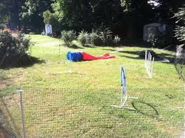 Respect My Agility Diy Dog Stuff Training Your Dog Agility Training For Dogs