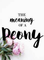 Pin On Oooh Pretty