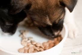 Basics outlined regarding 'how to wean your puppies' and suggest two options for replacing mother's milk in the puppy's 2nd summary: How To Wean Puppies Weaning Puppies Puppies Newborn Puppies