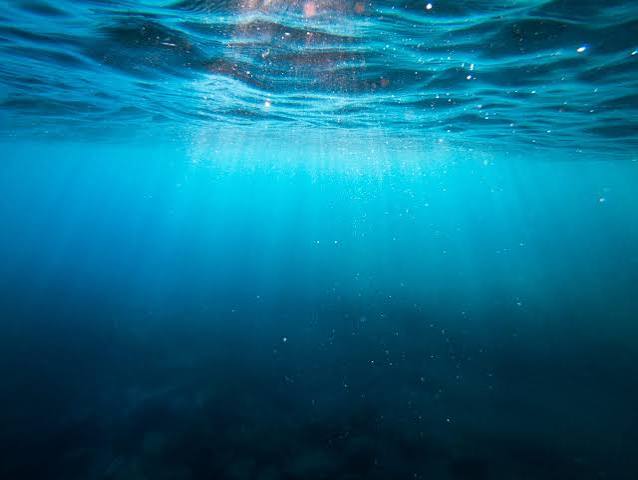 Deep and Shallow Knowledge. I would say that most knowledge fits… | by fakeson | Medium