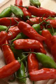 Image result for Capsicum baccatum