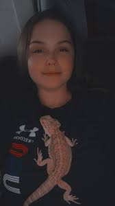 Sharing baby fawn pictures in a bearded dragon community