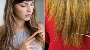 Fine hair tangles easily when worn long. Hair Breakage 10 Common Causes And How To Fix Them Allure