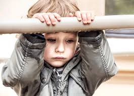 Fotoexpress asociacija