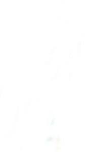 Plain white wallpapers hd resolution is cool. Plain White Wallpapers Hd Resolution Is Cool Wallpapers Prints Tickets Netten