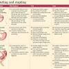 This guide will compare gastric sleeve vs gastric bypass surgery to help you learn about their differences and reach a sound decision. 1