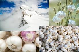 White is the lightest color and is achromatic (having no hue). Meaning And Symbolism Of The Color White Meet Your Colors Magazine