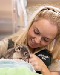 Around the clock, every single day of the year, our incredible team pours  their hearts into caring for every animal that comes through our doors.  🐾💙💚 Their dedication, compassion, and expertise mean