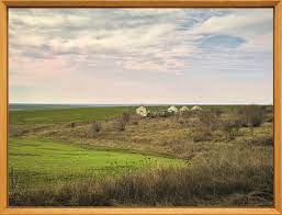 Maybe you would like to learn more about one of these? TristeÈ›e Melancolie SpaimÄƒ In Fotografiile Lui Cristi Puiu Observator Cultural
