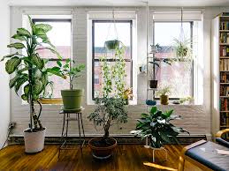 Indoor plants that only need little light. 20 Best Indoor Hanging Plants For Every Home