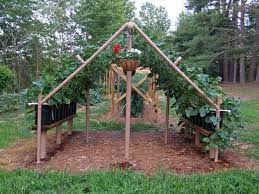 Fun With Pvc Plants Garden Trellis Garden